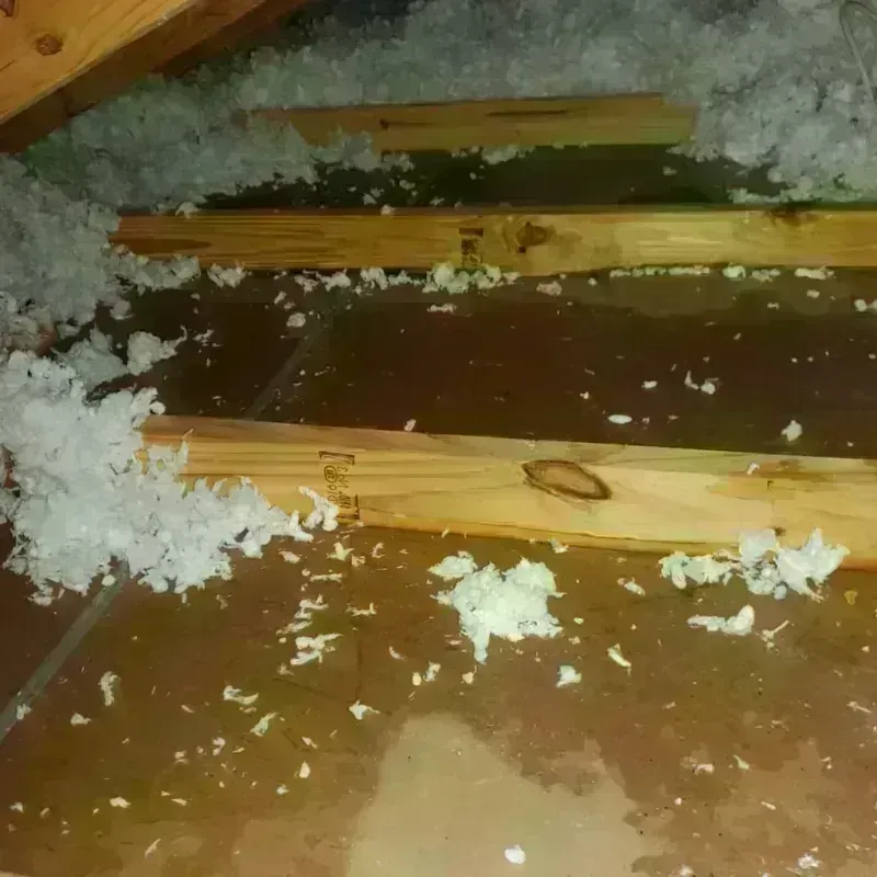 Attic Water Damage in Thornton, NH