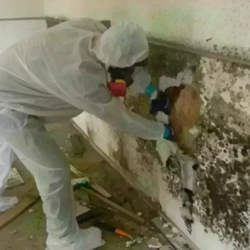 Mold Remediation and Removal in Thornton, NH